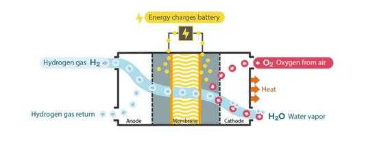 燃料电池加什么氢气（作为燃料电池燃料的氢气从哪里来）